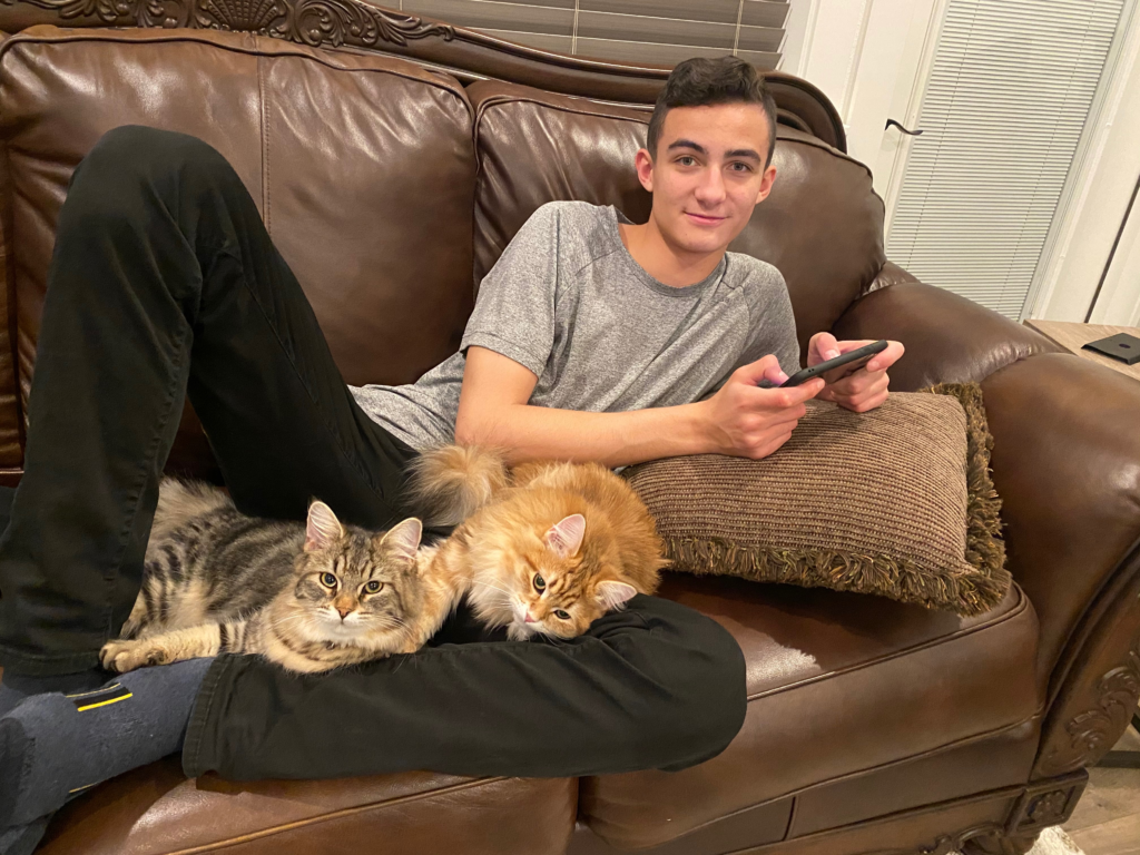 Lukas and Cats2